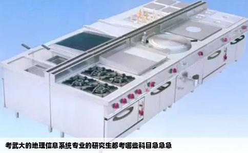 考武大的地理信息系统专业的研究生都考哪些科目急急急