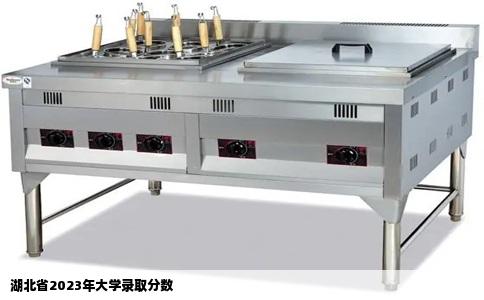 湖北省2023年大学录取分数