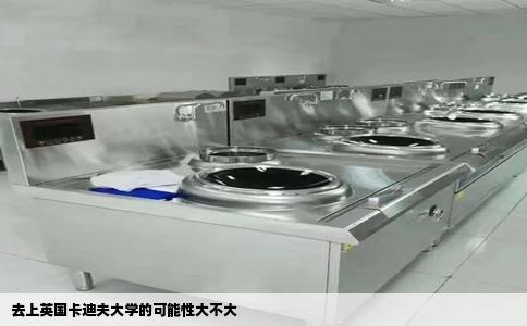 去上英国卡迪夫大学的可能性大不大