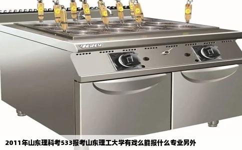 2011年山东理科考533报考山东理工大学有戏么能报什么专业另外