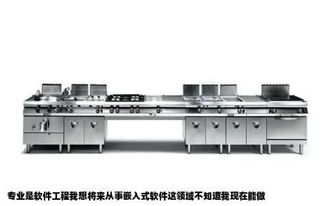 专业是软件工程我想将来从事嵌入式软件这领域不知道我现在能做
