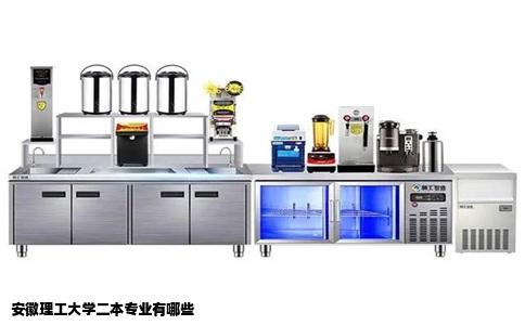 安徽理工大学二本专业有哪些