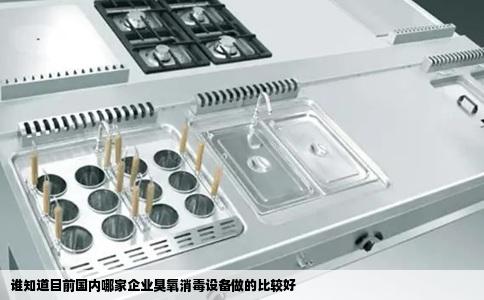 谁知道目前国内哪家企业臭氧消毒设备做的比较好