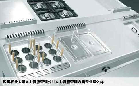 四川农业大学人力资源管理公共人力资源管理方向专业怎么样