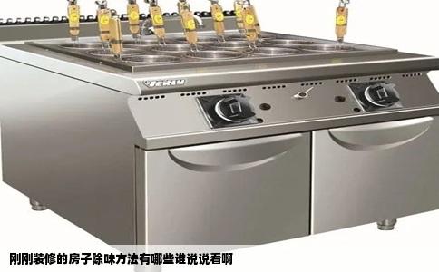 刚刚装修的房子除味方法有哪些谁说说看啊