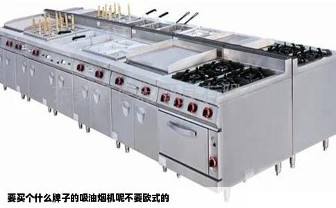 要买个什么牌子的吸油烟机呢不要欧式的