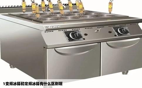 1变频冰箱和定频冰箱有什么区别啊