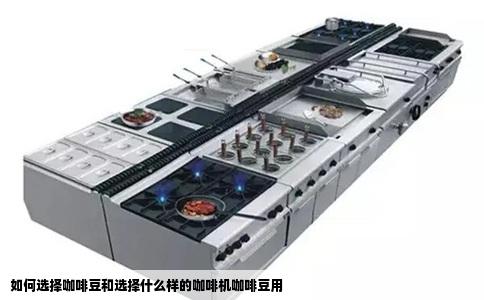 如何选择咖啡豆和选择什么样的咖啡机咖啡豆用
