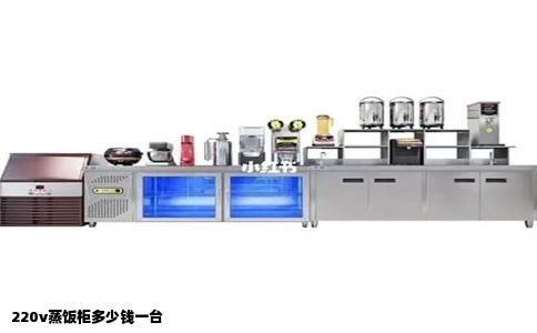 220v蒸饭柜多少钱一台