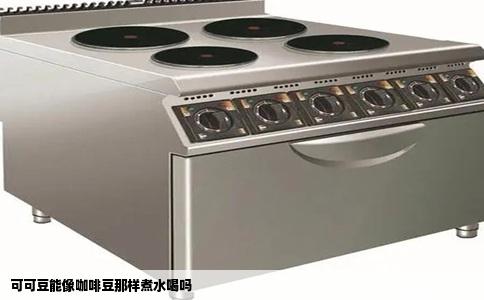 可可豆能像咖啡豆那样煮水喝吗