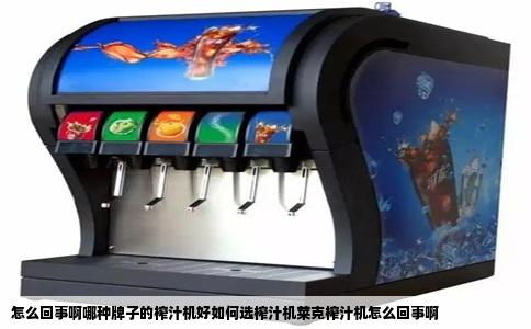 怎么回事啊哪种牌子的榨汁机好如何选榨汁机莱克榨汁机怎么回事啊