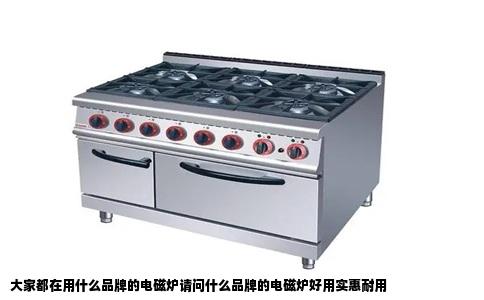 大家都在用什么品牌的电磁炉请问什么品牌的电磁炉好用实惠耐用