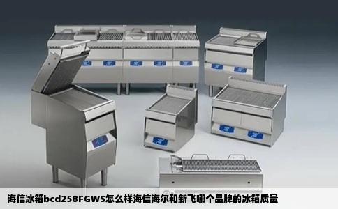 海信冰箱bcd258FGWS怎么样海信海尔和新飞哪个品牌的冰箱质量