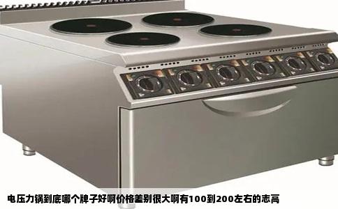 电压力锅到底哪个牌子好啊价格差别很大啊有100到200左右的志高