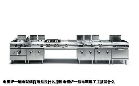 电磁炉一通电就烧保险丝是什么原因电磁炉一插电就烧了主扳是什么