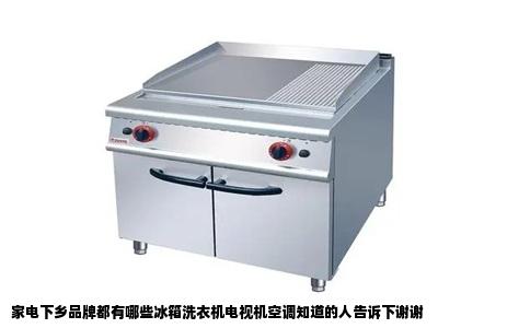家电下乡品牌都有哪些冰箱洗衣机电视机空调知道的人告诉下谢谢