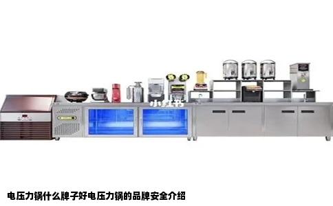 电压力锅什么牌子好电压力锅的品牌安全介绍
