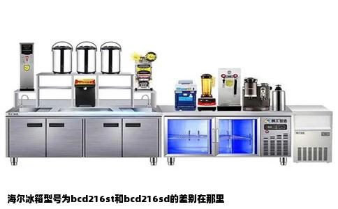 海尔冰箱型号为bcd216st和bcd216sd的差别在那里