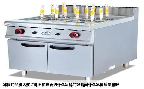 冰箱的品牌太多了都不知道要选什么品牌的好请问什么冰箱质量最好