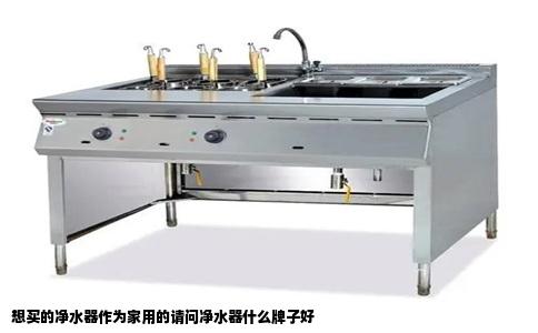想买的净水器作为家用的请问净水器什么牌子好