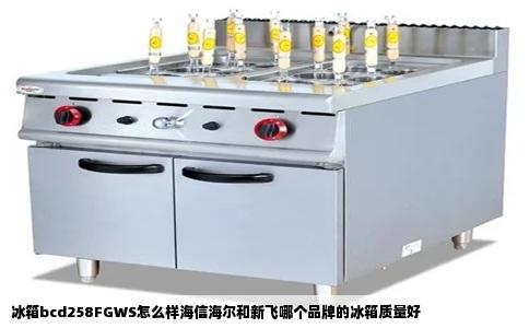 冰箱bcd258FGWS怎么样海信海尔和新飞哪个品牌的冰箱质量好