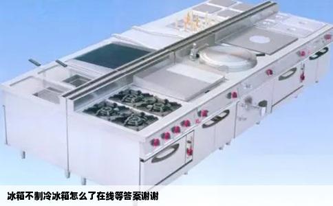 冰箱不制冷冰箱怎么了在线等答案谢谢