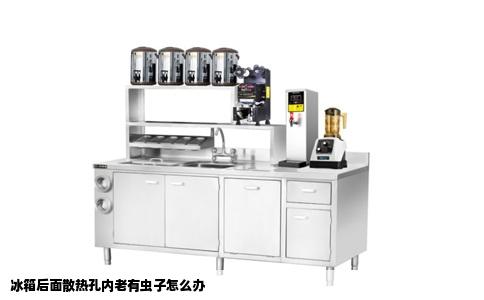 冰箱后面散热孔内老有虫子怎么办