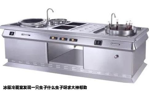 冰箱冷藏室发现一只虫子什么虫子呀求大神帮助