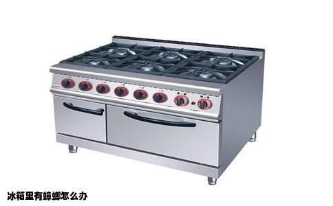 冰箱里有蟑螂怎么办