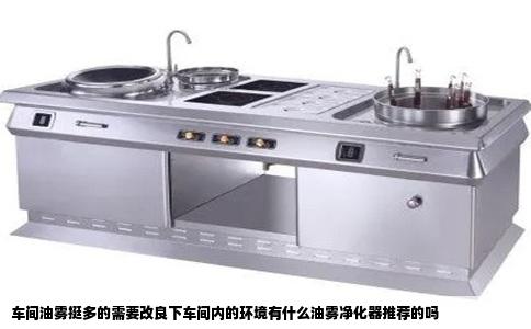 车间油雾挺多的需要改良下车间内的环境有什么油雾净化器推荐的吗