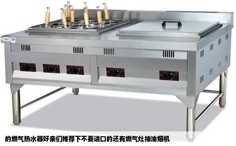 的燃气热水器好亲们推荐下不要进口的还有燃气灶抽油烟机