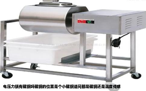 电压力锅有磁钢吗磁钢的位置是个小磁钢请问那是磁钢还是温度传感