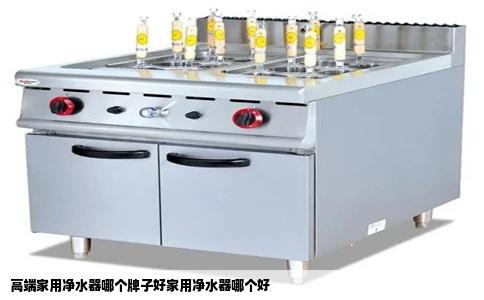 高端家用净水器哪个牌子好家用净水器哪个好