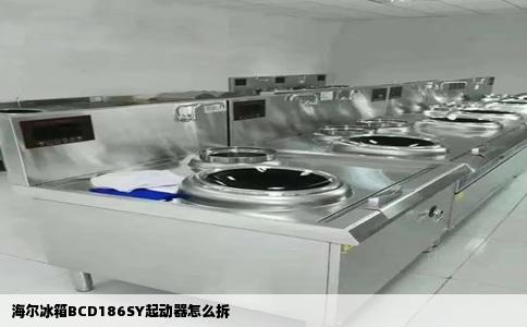 海尔冰箱BCD186SY起动器怎么拆