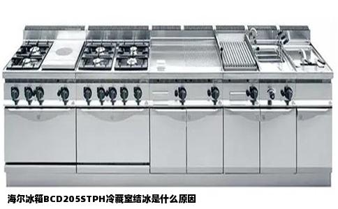 海尔冰箱BCD205STPH冷藏室结冰是什么原因