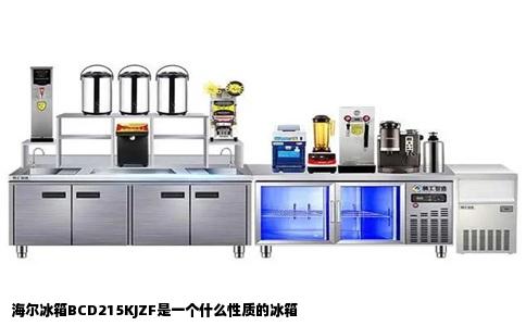 海尔冰箱BCD215KJZF是一个什么性质的冰箱