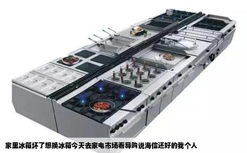 家里冰箱坏了想换冰箱今天去家电市场看导购说海信还好的我个人