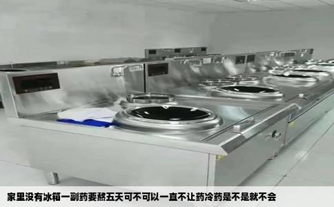 家里没有冰箱一副药要熬五天可不可以一直不让药冷药是不是就不会