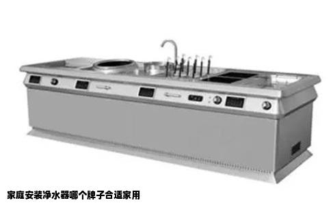 家庭安装净水器哪个牌子合适家用