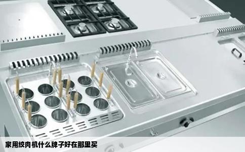 家用绞肉机什么牌子好在那里买