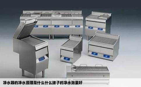 净水器的净水原理是什么什么牌子的净水效果好