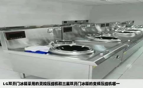 LG双开门冰箱采用的灵控压缩机和三星双开门冰箱的变频压缩机哪一