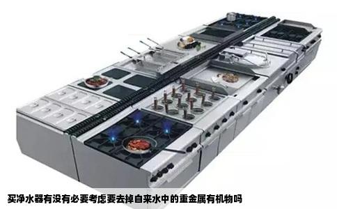 买净水器有没有必要考虑要去掉自来水中的重金属有机物吗