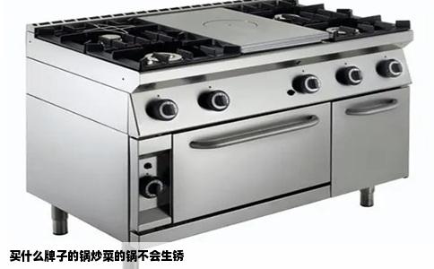 买什么牌子的锅炒菜的锅不会生锈