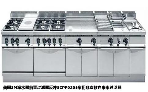 美国3M净水器前置过滤器反冲3CPF0205家用非直饮自来水过滤器