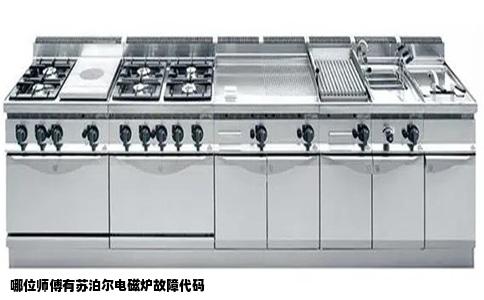 哪位师傅有苏泊尔电磁炉故障代码