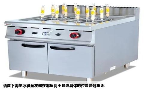 请教下海尔冰箱蒸发器在哪里我不知道具体的位置是哪里呢