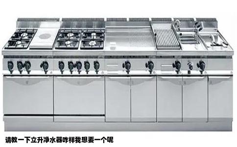 请教一下立升净水器咋样我想要一个呢