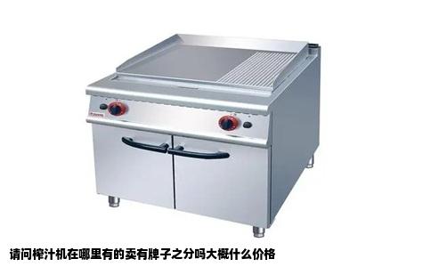 请问榨汁机在哪里有的卖有牌子之分吗大概什么价格