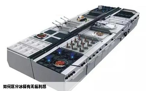 如何区分冰箱有无氟利昂